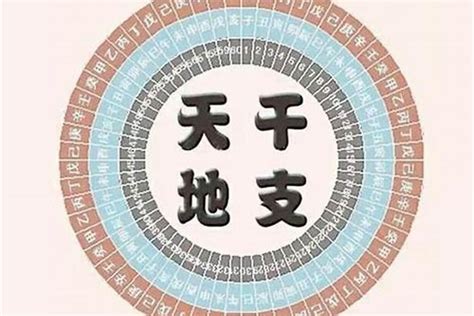 八字土旺的人|楊文：八字五行土旺會怎樣，是凶兆還是吉兆